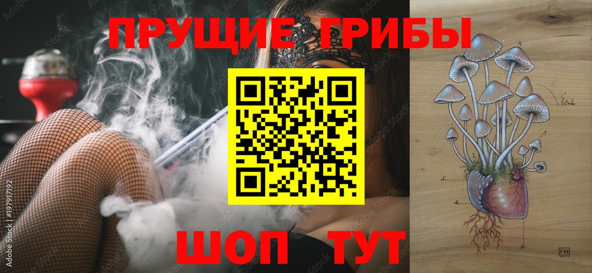 Гашиш Муравленко