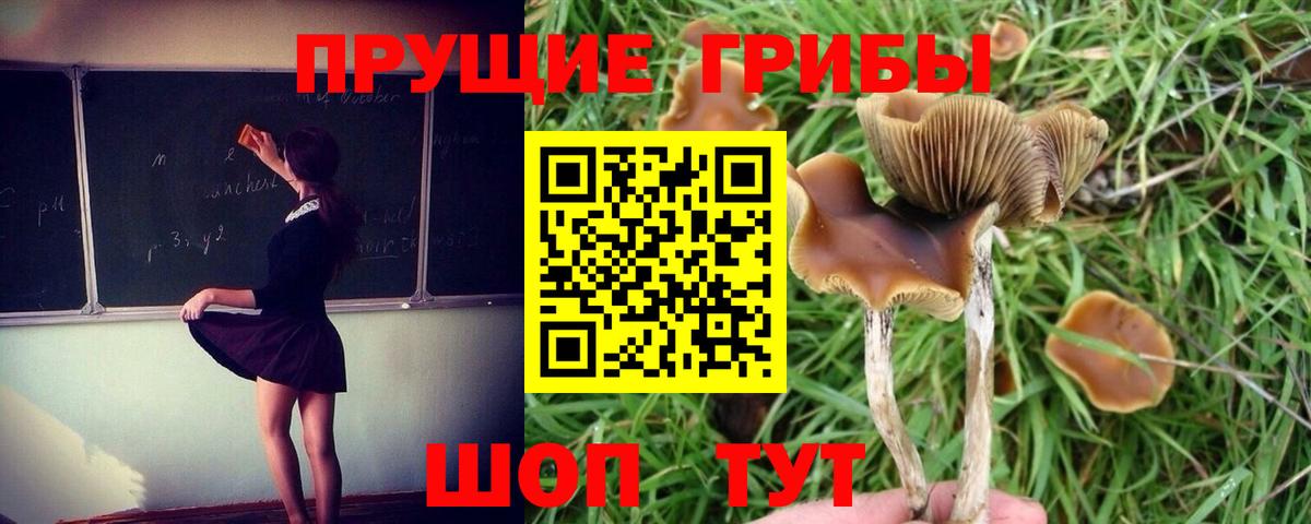Муравленко  Галлюциногенные грибы Magic Shrooms  Вход с VPN 